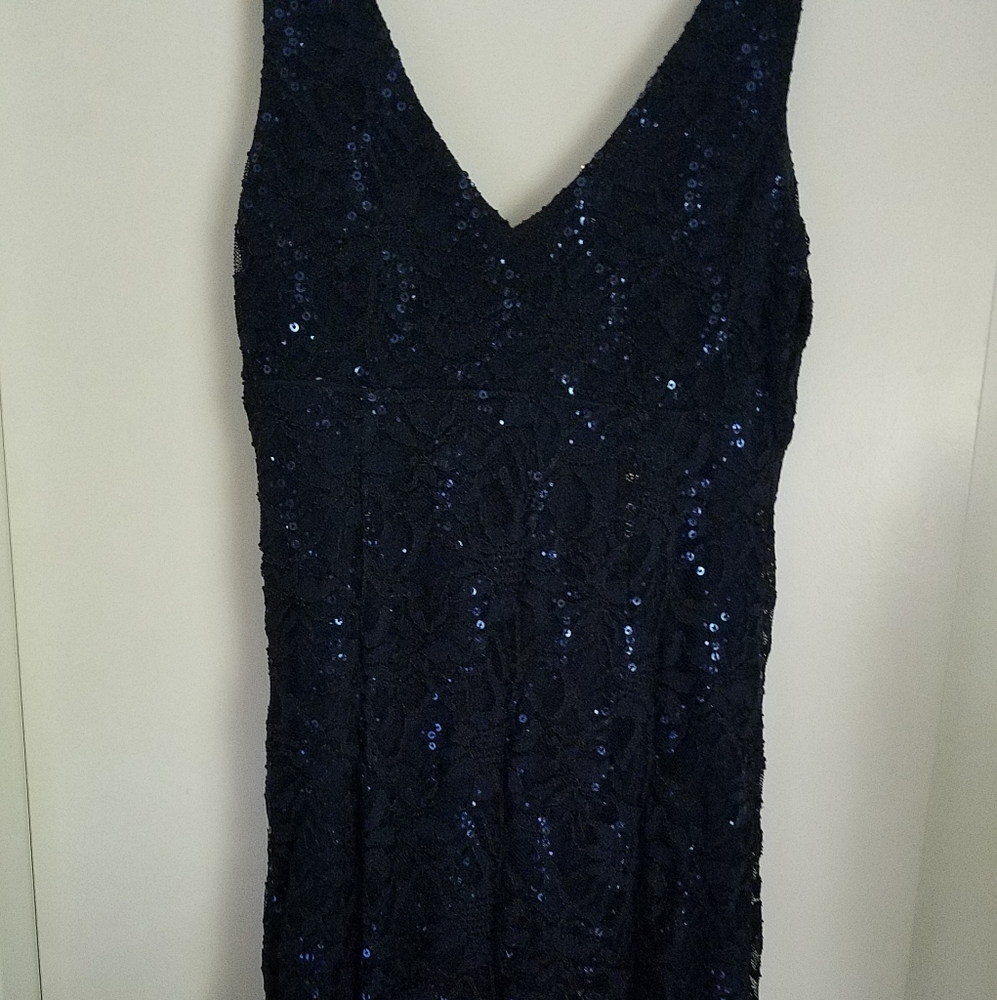 Long Laced Sequin Evening Gown